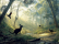 DECCOR |LANDSCAPE