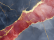 DECCOR |MARBLE