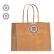 Kit com 300 Lacres Fecha Bolsa